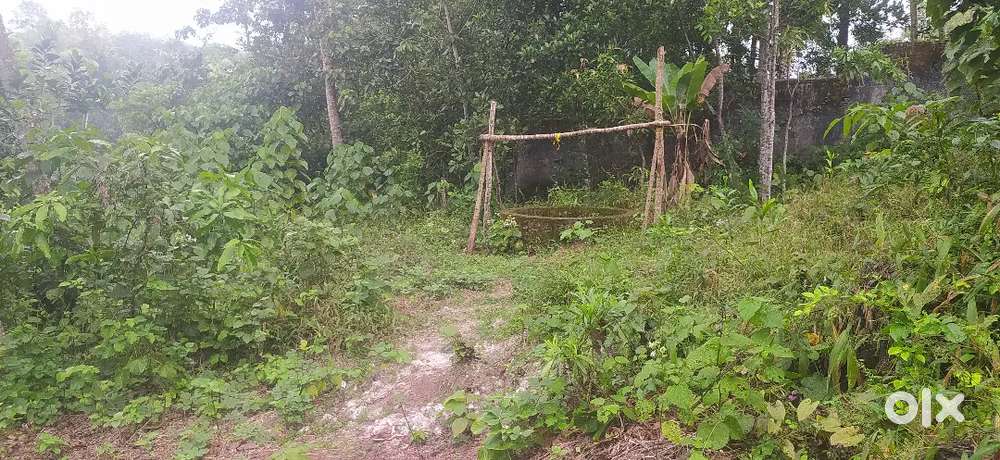 Plot for sale paripally varkala road near chmm college