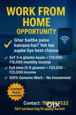 Online work from home opportunity provide