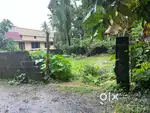 5cent House plot kakkanad vazhakkala for sele