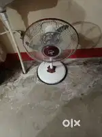 Roxy stand fan