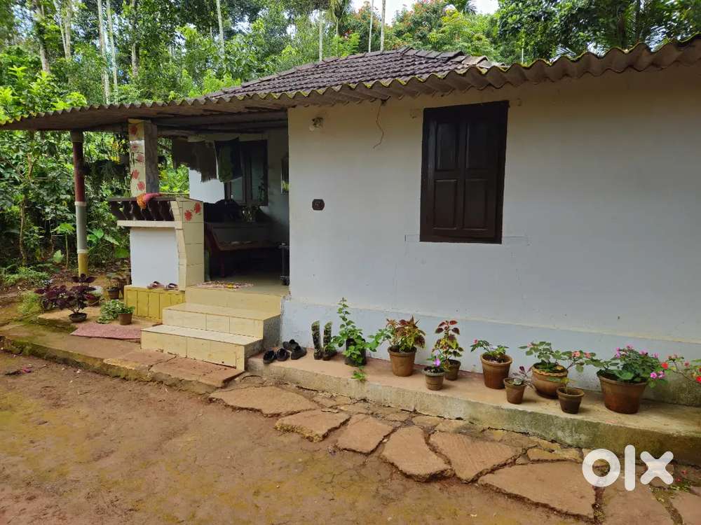 Small 3 bhk house and 25 cent plot for sale