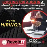 Developer/Data Analyst (AI driven)