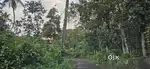 20 cent house plot at Vikas jn Thavalakuzhy Ettumanoor 4.25 lak neg