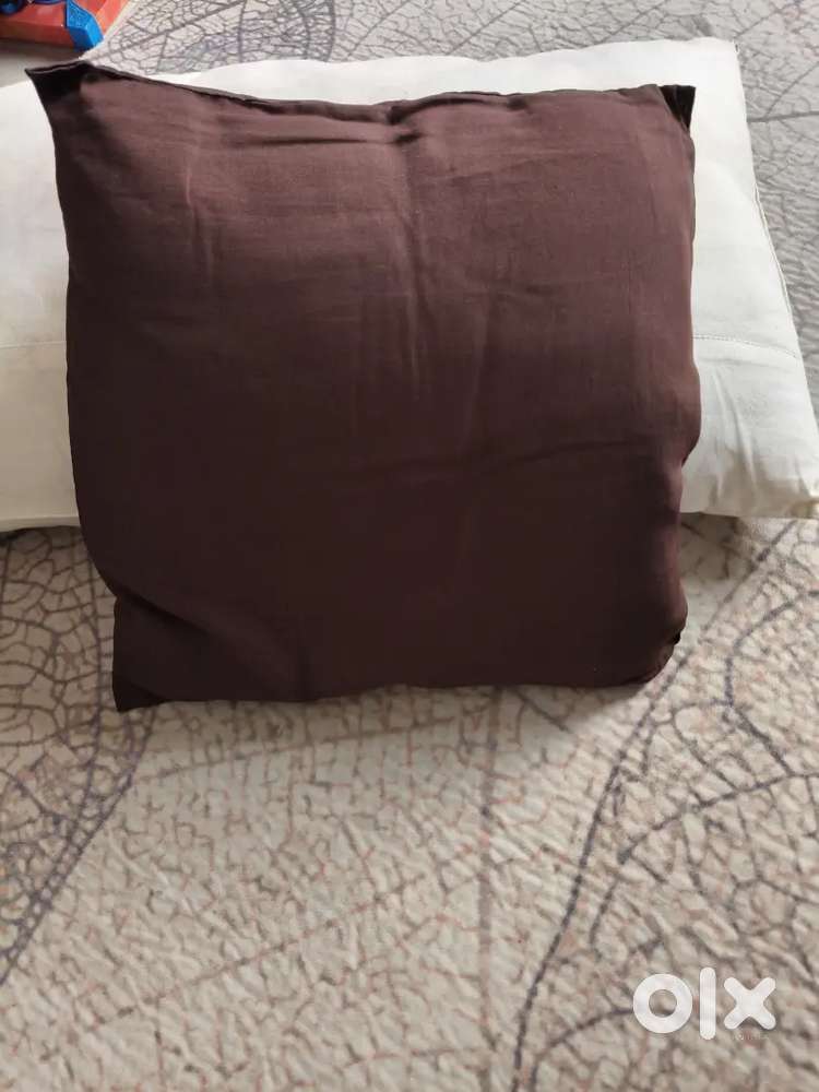 Sofa Cushion + bed pillow