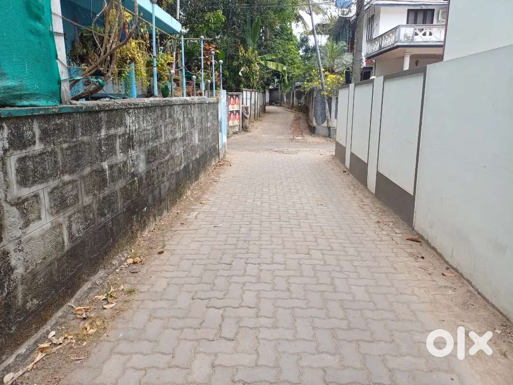 Manjummel,near trust herbominarls