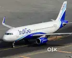 NOW HIRING 2023 FOR INDIGO AIRLINES PVT LTD COMPANY IN NEARBY AIRPORTS
