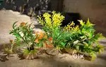 Fish tank decor plants