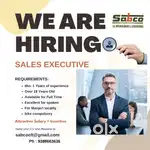Sales Executives
