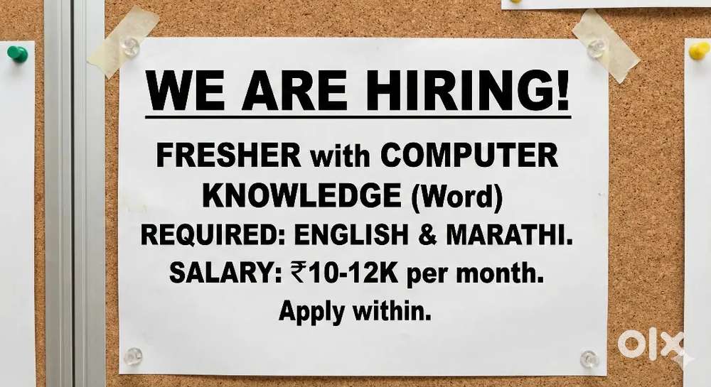 BACK OFFICE EXECUTIVE