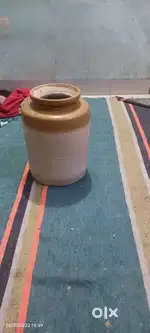 New barni hai