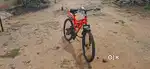 Adult bicycle