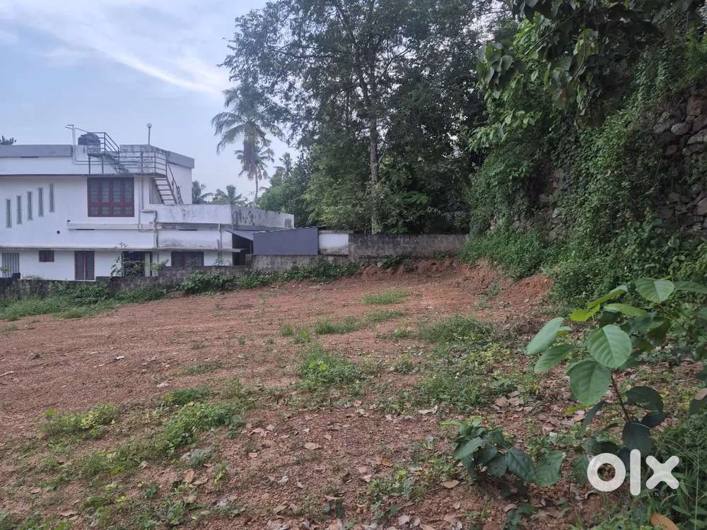 6 cent plot for sale in corporation area in  studio road ,negotiable!