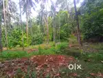 9 cent plot for sale Iringal near sargalya