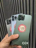 iPhone 13 Pro Max