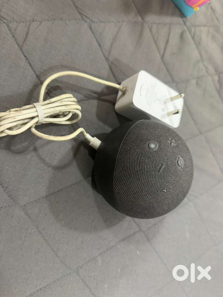Amazon alexa speaker