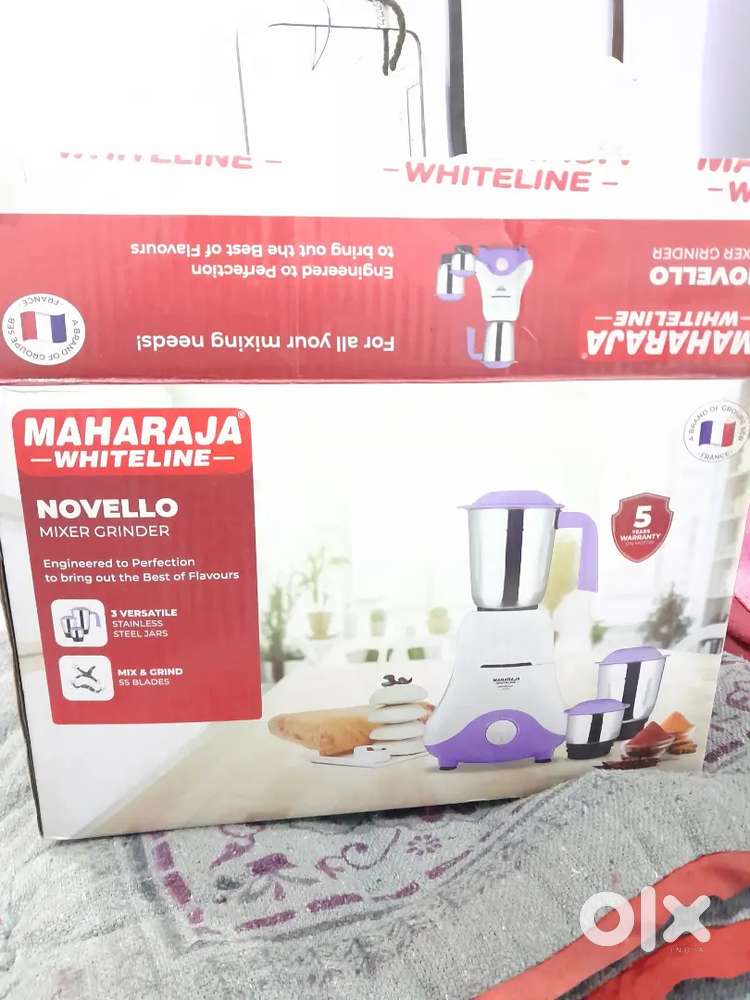 Mixer grinder for sale