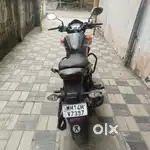 Honda Hornet