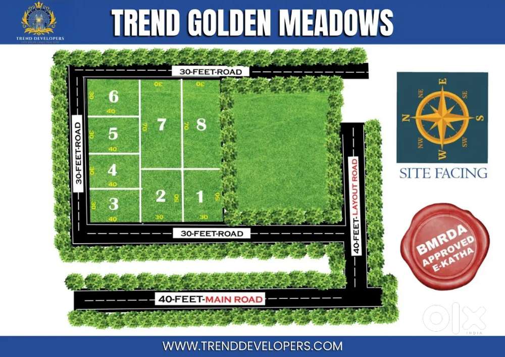 Trend Developer