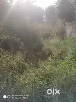 900 Sq feet plot