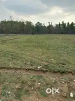 Dehradun के सस्ते plots