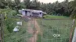 61 cent land for sale in mullupadi
