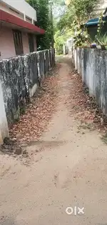 തൃപ്പൂണിത്തുറ, പുതിയ കാവ്