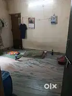 Need one student boys,near brain seed library 1,rent 1900