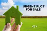 URGENT FOR SALE 300 GAJ PLOT AT GILLCO PALM