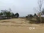 Per Katha Miadi Patta Land Available Total 4 Bigha Miadi Land For Sale