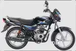 Model 2019