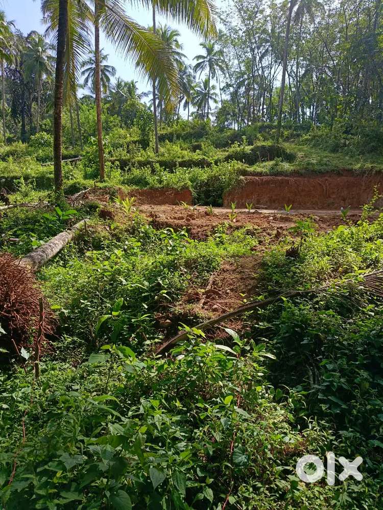 Rode side pandhirikkara pattanippara