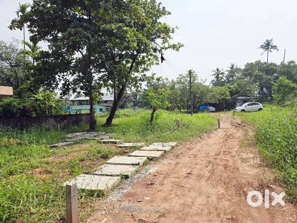 Residential & Plots for Sale – Cheranallur, Kochi