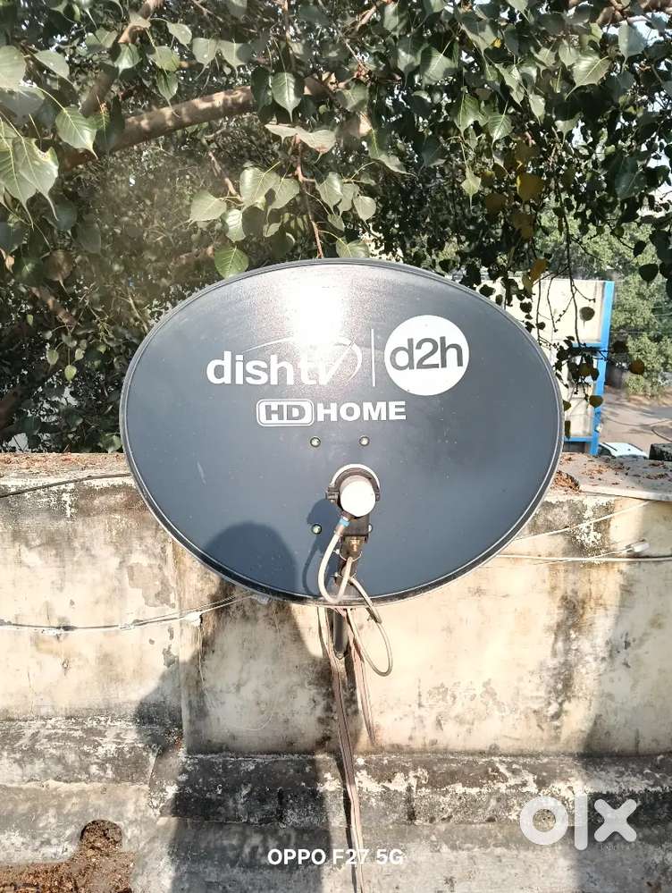 Dish tv with antena