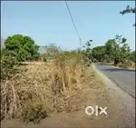Plot for sale total plot 5 Acer per guntha 1.50 lack