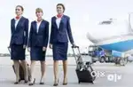 Airport/Airline Ground staff job Fresher/Experience all candidates