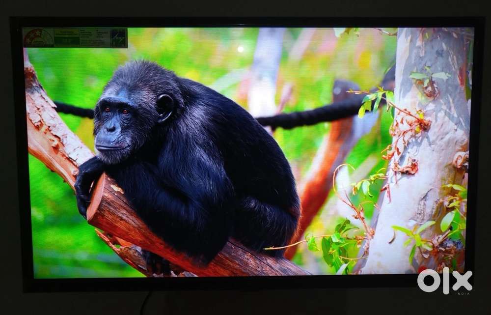 Xiaomi mi tv 4A 32 inch