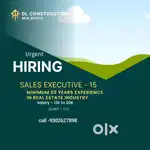 Sales executive-15