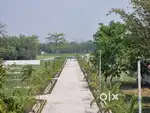 Residential & Investment Plot For Sale in Gated Township in Naxalbari