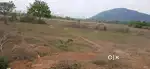 14 guntha land near IIT Jatani