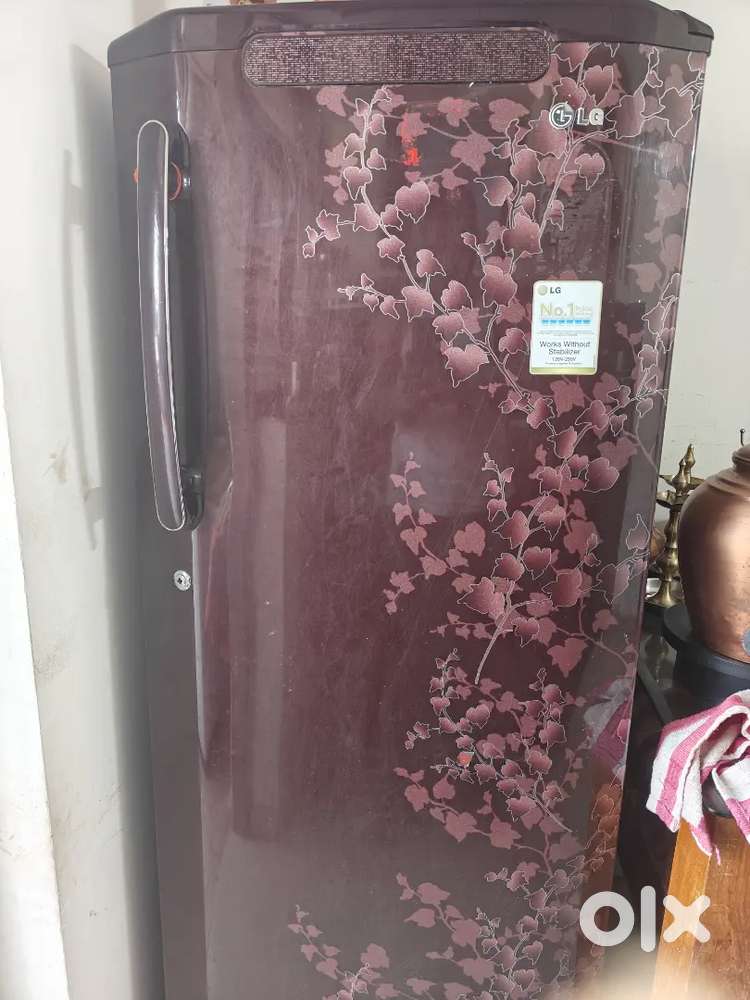Lg Freeze Single Door