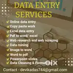 Experienced data entry professional
