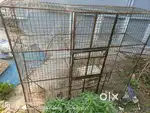 Birds cage