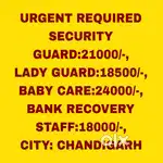 All Security Jobs Chandigarh 15
