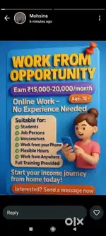Work From Home Opportunity