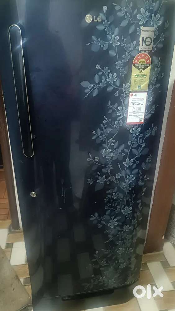 LG 5 star Refrigerator