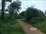 60 Cents farm land with cow shed immediate sale at kaniyalampalayam