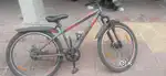 Avon Cycle
