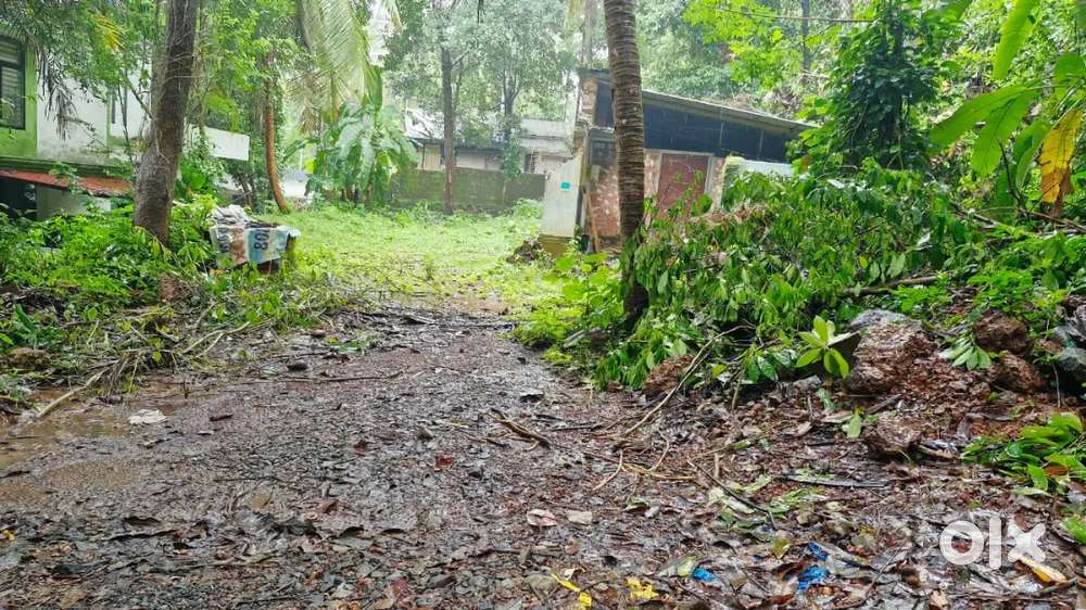 14 cent plot malaparamb 9.5 lakh per cent