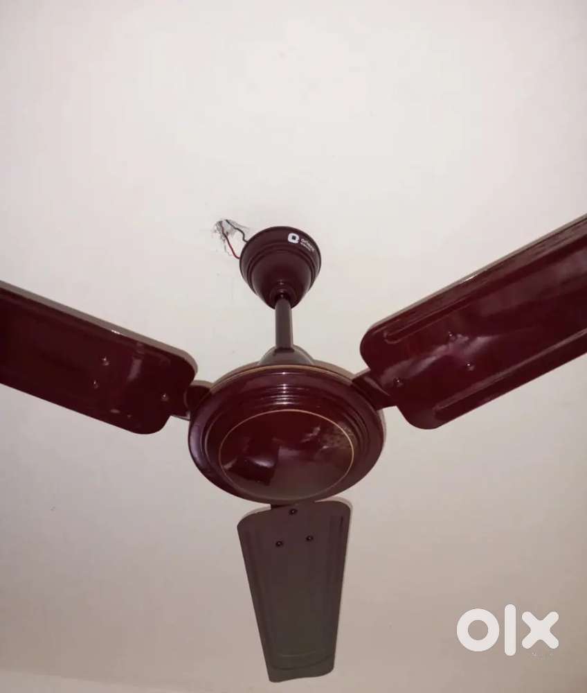 Ceiling fan