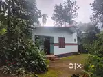 MUNNAR ANACHAL Town just 500 meter 23 cent house 55 lakhs